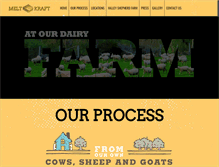Tablet Screenshot of meltkraft.com